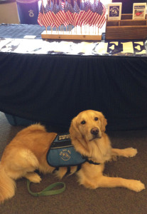 Hercules the dog was at the event to comfort veterans with PTSD.