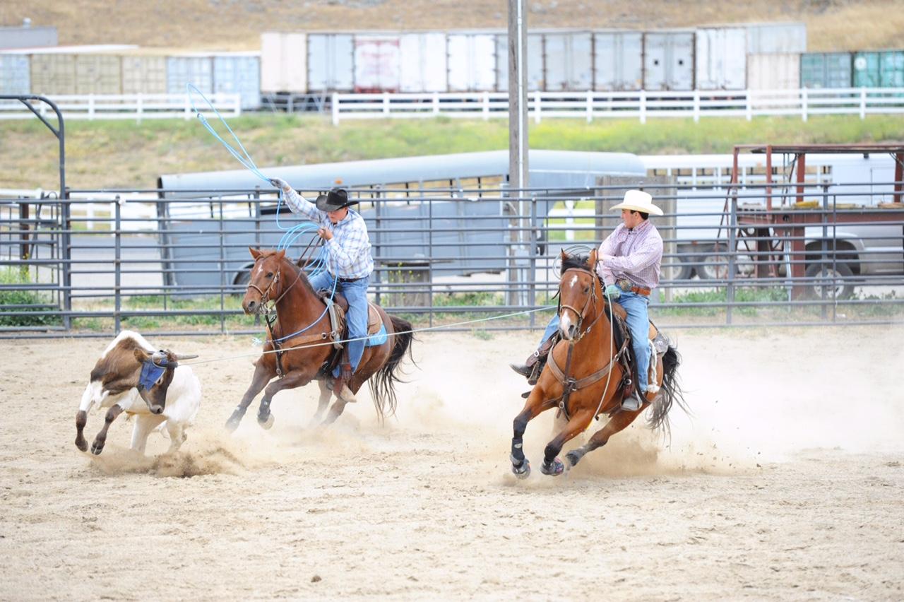 Four Cuesta students to compete in national rodeo – The Cuestonian Archive