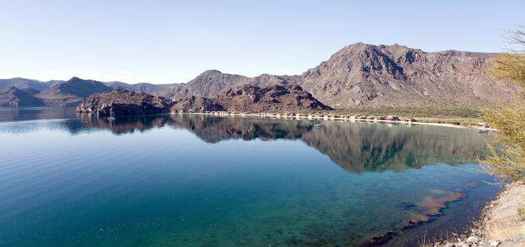 Marine biology professors plan to make a splash in Baja