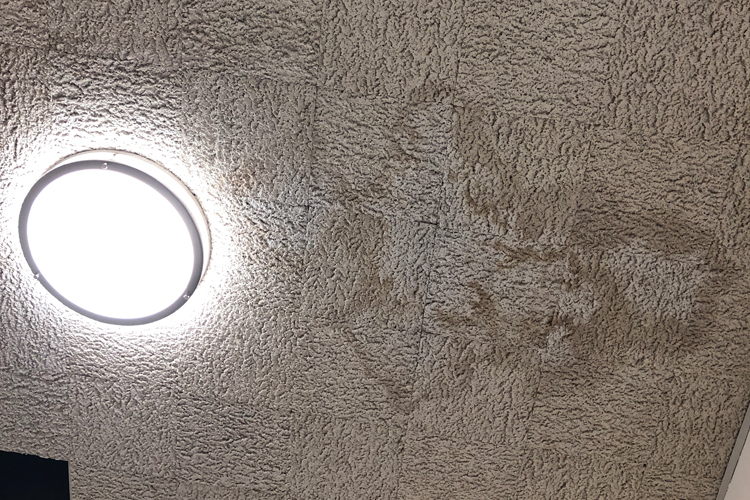 Rain water stains on the ceiling of the newly remodel photojournalism room.