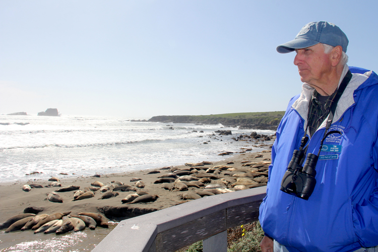 Tim Postiff, a Friends of the Elephant Seal research member, at Piedras Blancas Elephant Seal Rookery.