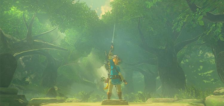 Legend of Zelda: Breath of the Wild