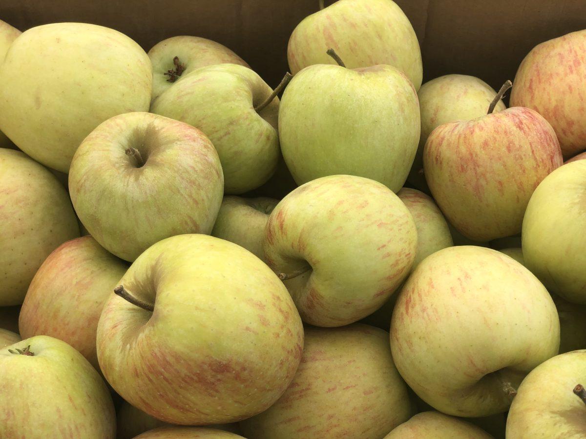 Arroyo Grande farmersâ€™ market apple display. Photo by Ellie Thomas
