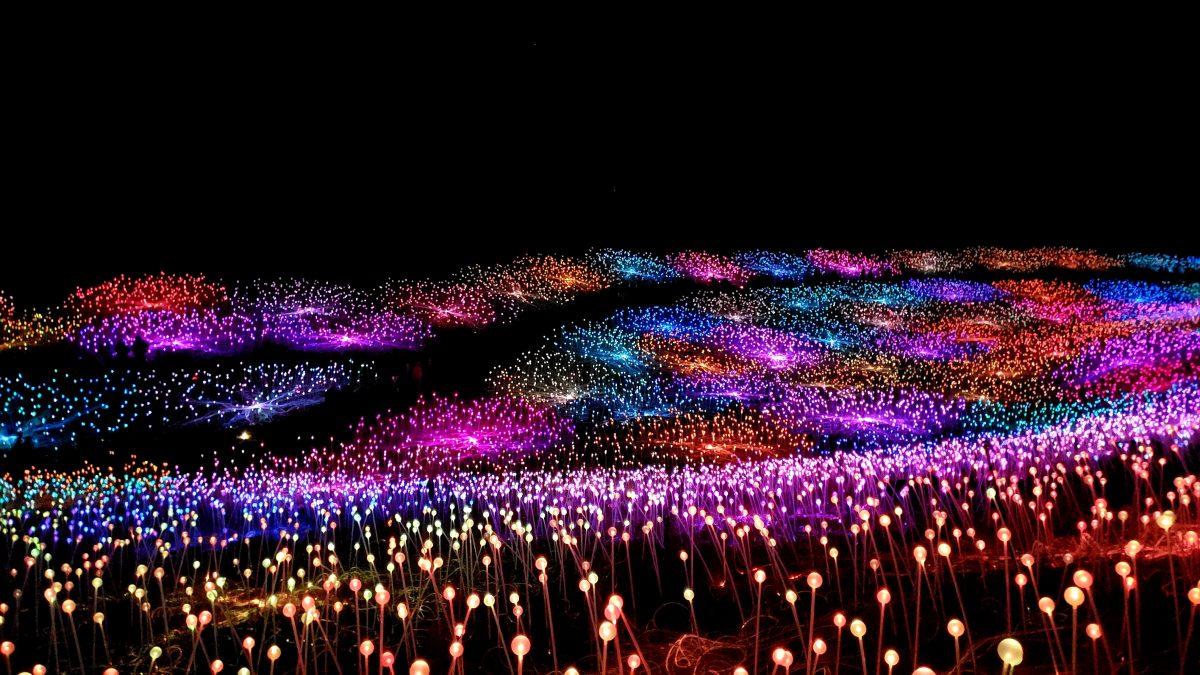 Over 58,000 fiber optic multi-colored solar lights cover the Paso Robles wine country.
Photo by Michael Costa