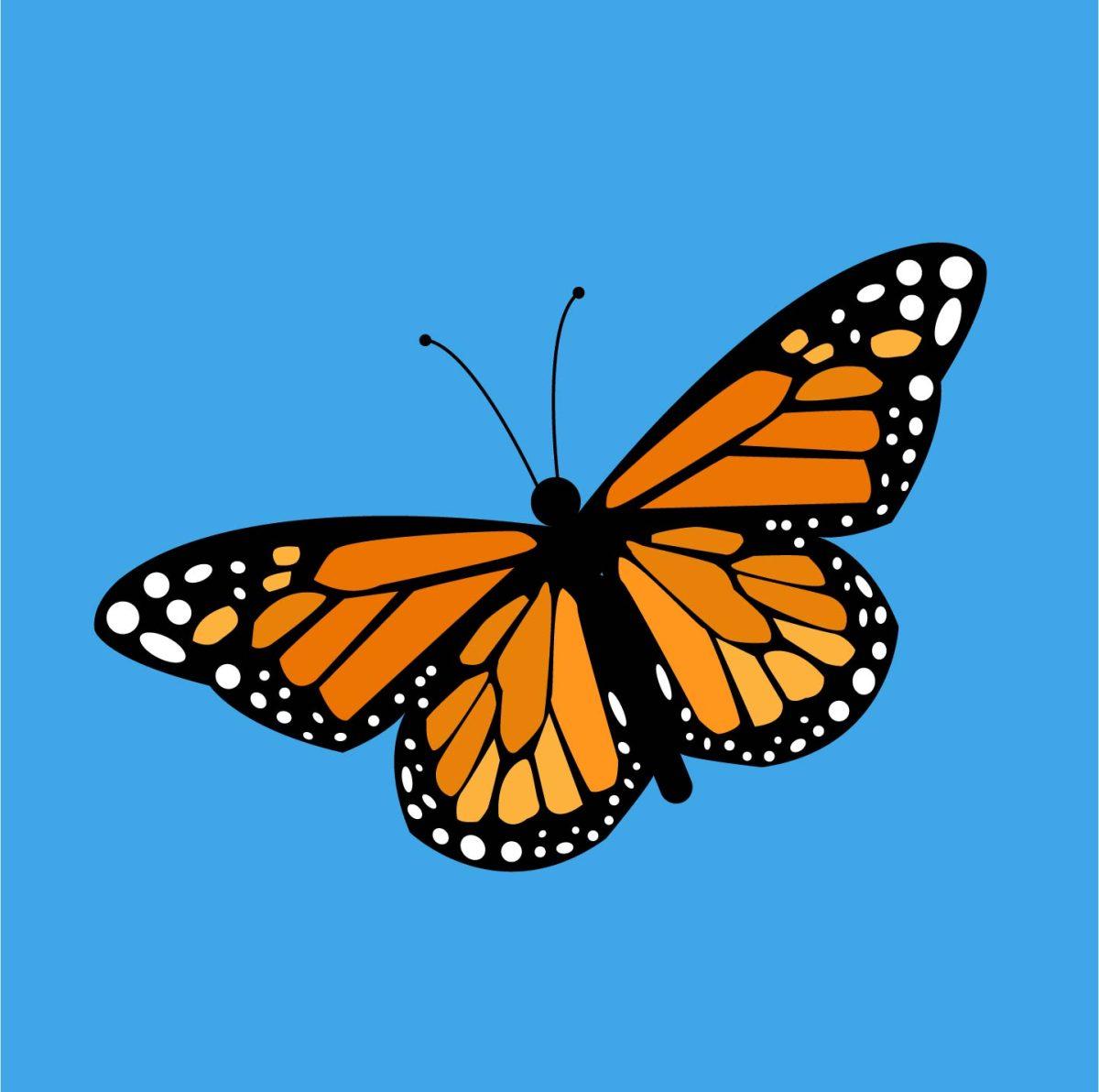 The monarch butterfly, mascot of the Monarch Center. Illustration by Guadalupe Angeles