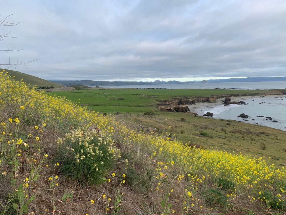 View of Cayucos off Highway 101. Photo by Aubrie Arndt