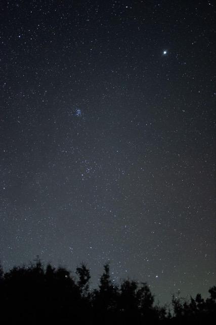 The night sky at Carrizo Plain National Monument, with Jupiter shining bright in the top right corner. Photo by Cullen Arroyo