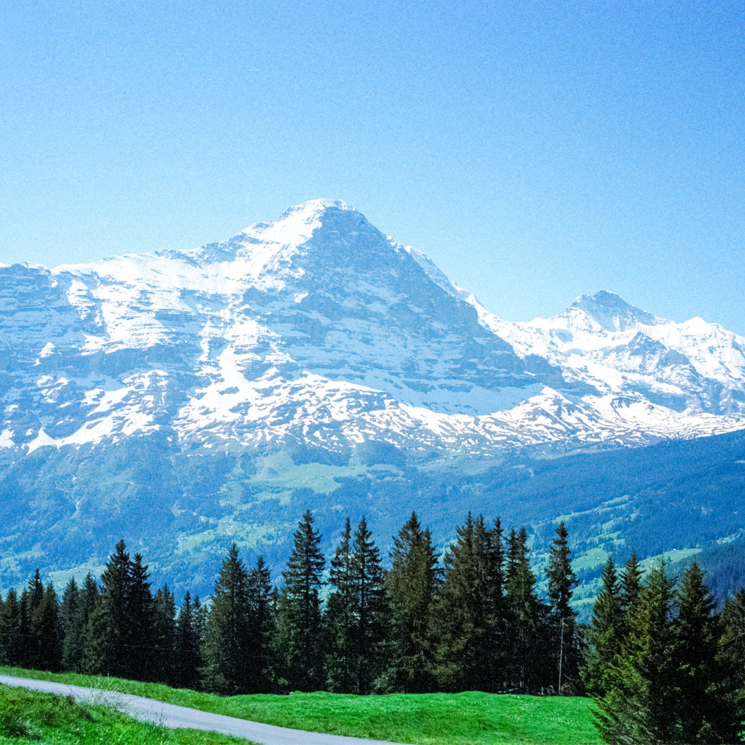 Cuesta students can visit the Swiss Alps as part of a trip next year. 