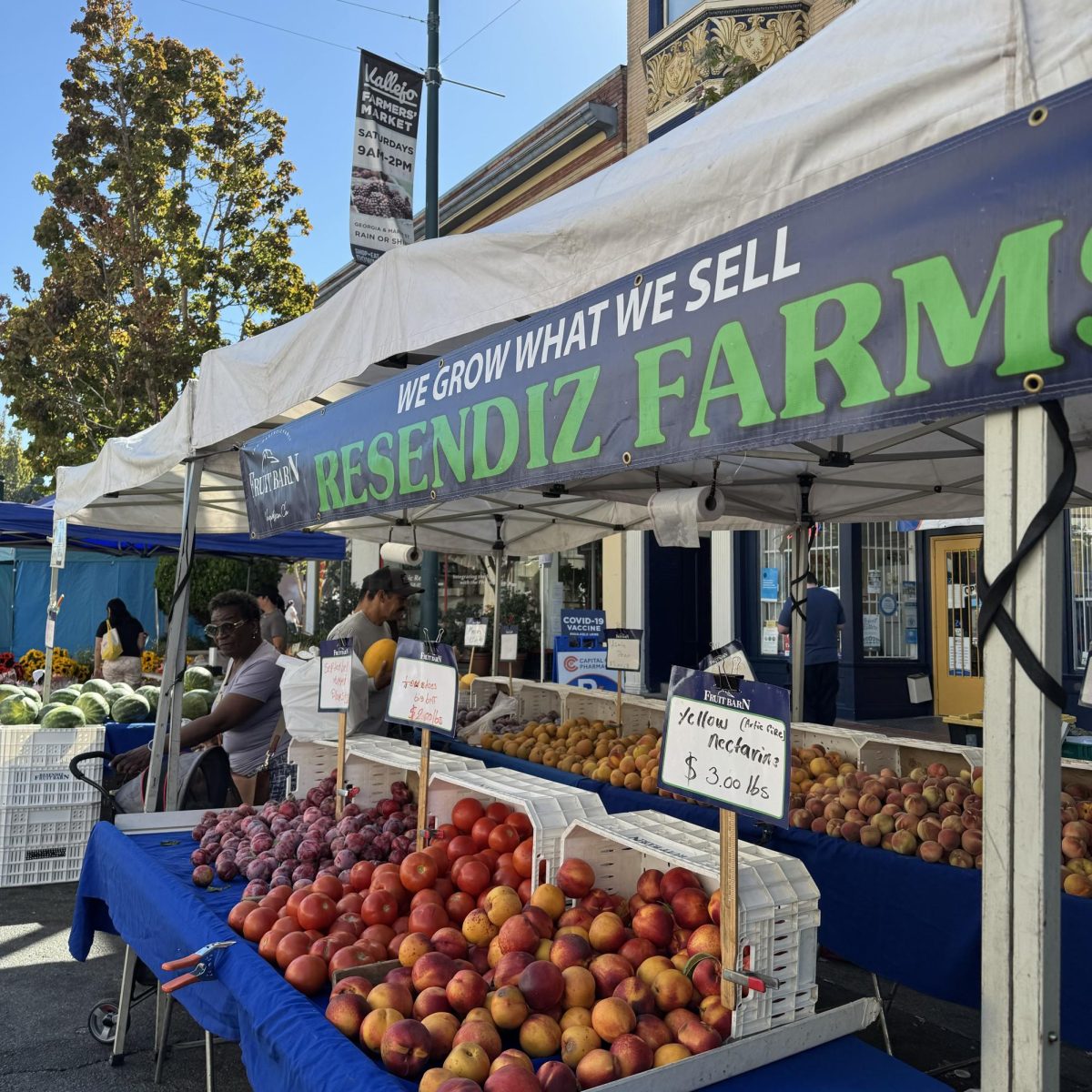 Resendiz Farms’ tent, where they sell an assortment of fruits such as nectarines and plums. Vendors selling fruit employ scales to determine prices by weight for certain items.