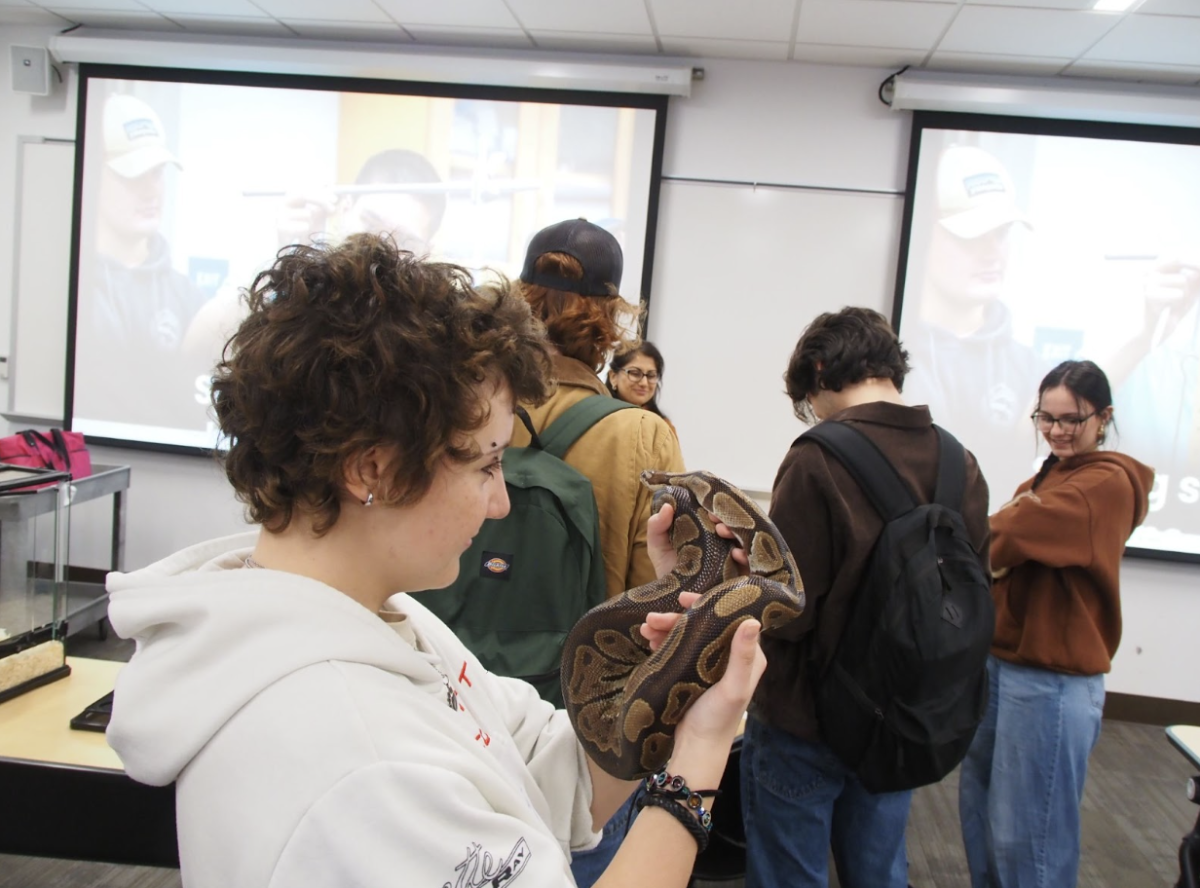 Student Taylor Gordon holds a ball python as part of the Biology department showcase. The unnamed python has been held by the biology department since 1995. 